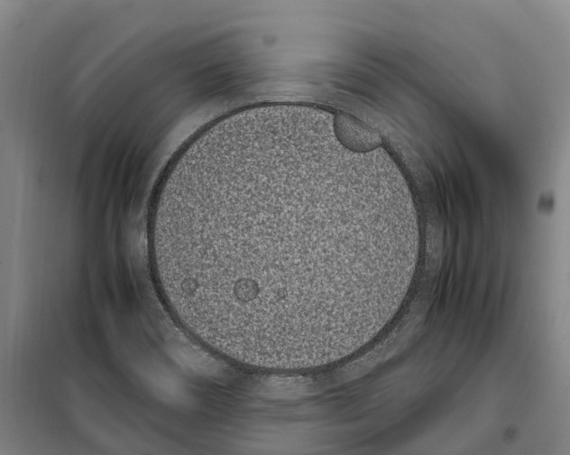 X0000099401466200806051156