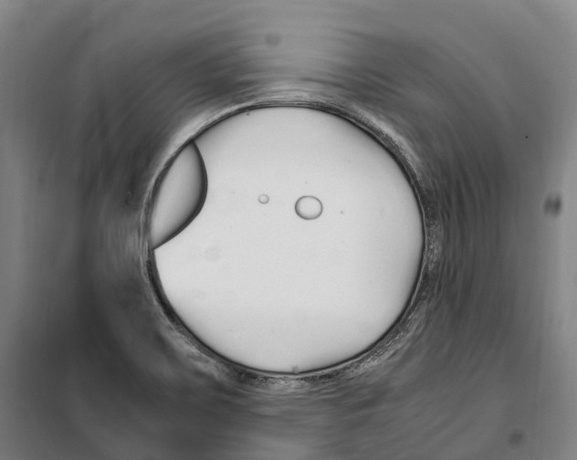 X0000099401467200806051156