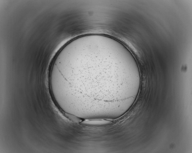X0000099401468200806051156