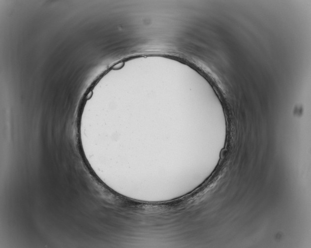 X0000099401469200806051156