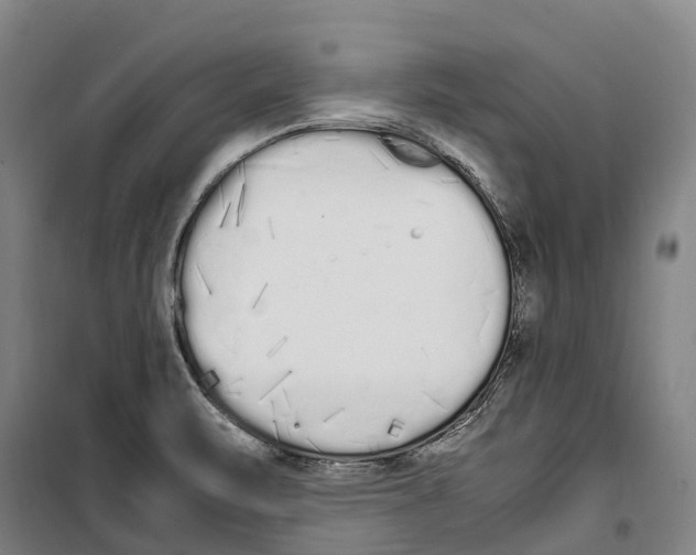 X0000099401471200806051156