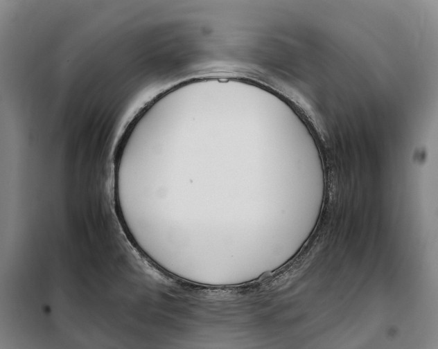 X0000099401472200806051156