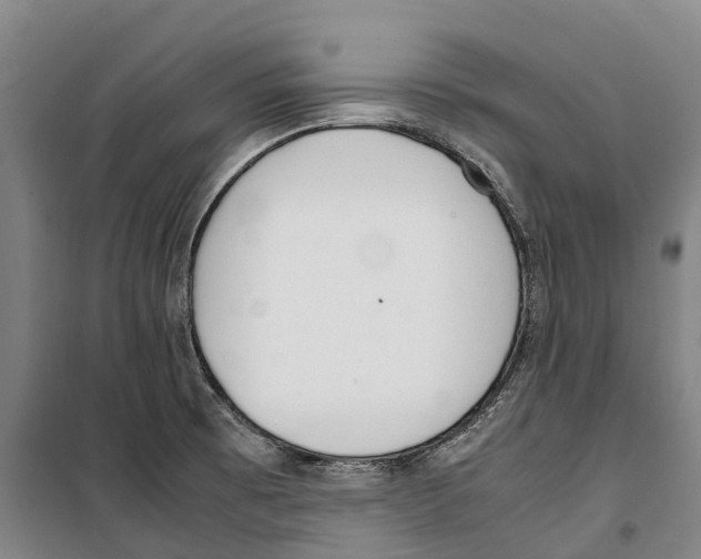 X0000099401473200806051156