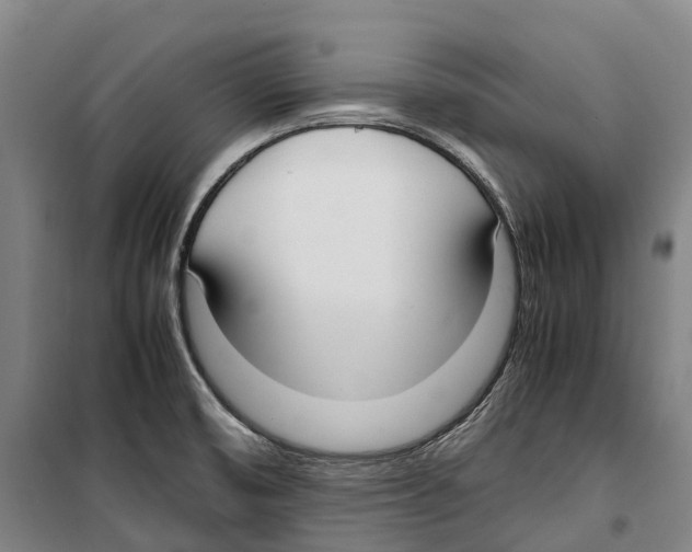 X0000099401474200806051156