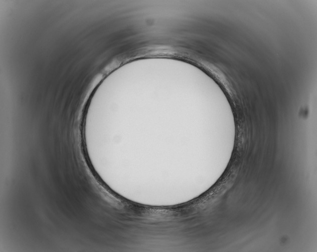 X0000099401475200806051156