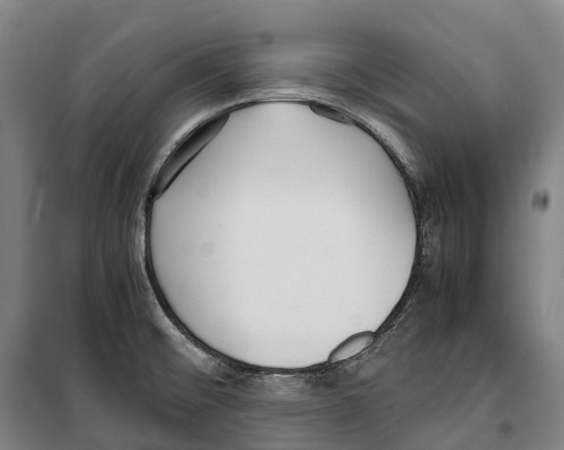 X0000099401476200806051156