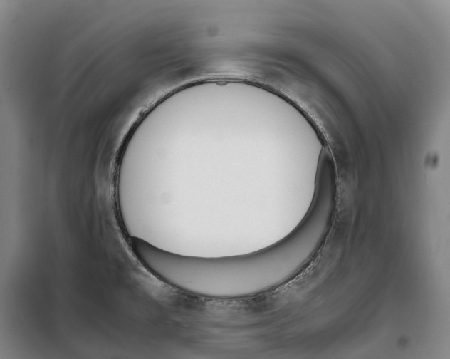 X0000099401477200806051156