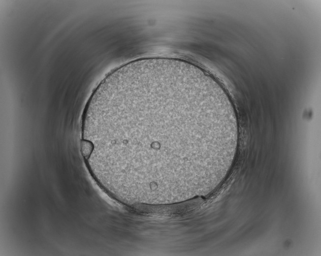 X0000099401479200806051156