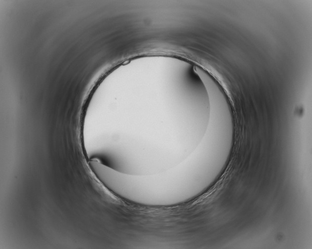 X0000099401480200806051156