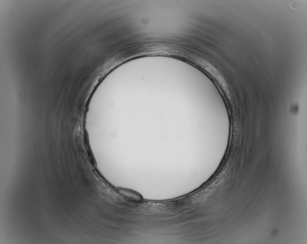 X0000099401481200806051156