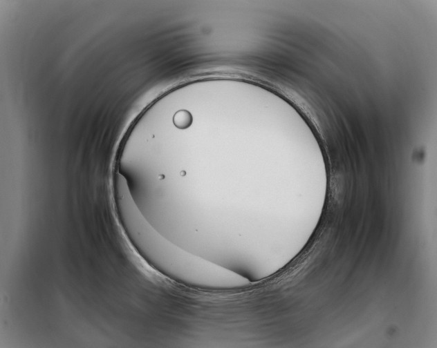 X0000099401482200806051156