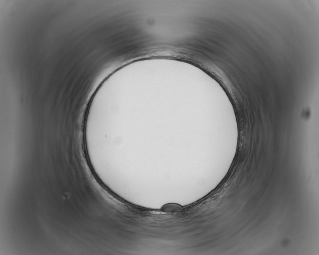 X0000099401483200806051156