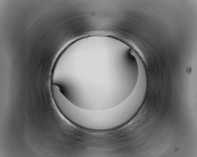 X0000099401484200806051156