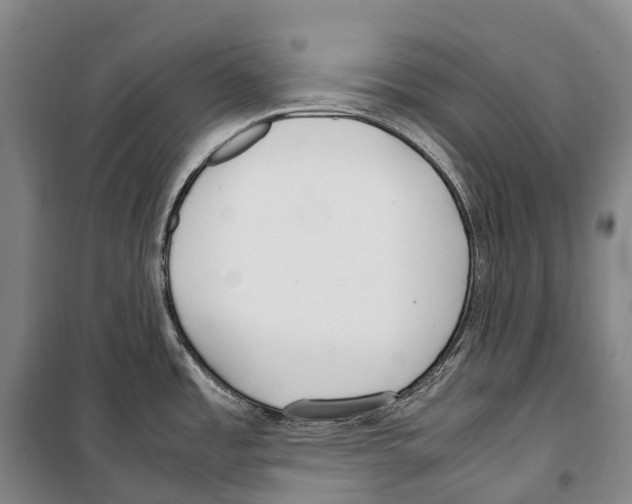 X0000099401485200806051156