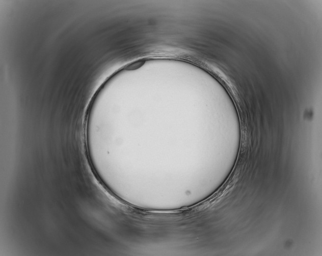 X0000099401487200806051156