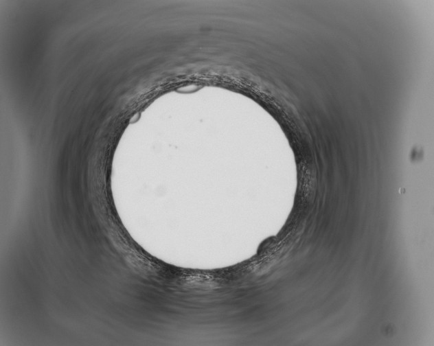 X0000099401489200806051155