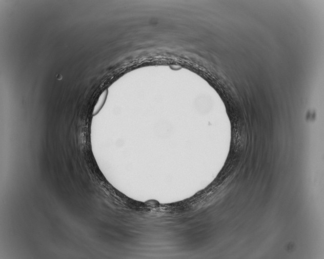 X0000099401490200806051155