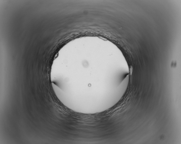 X0000099401491200806051155