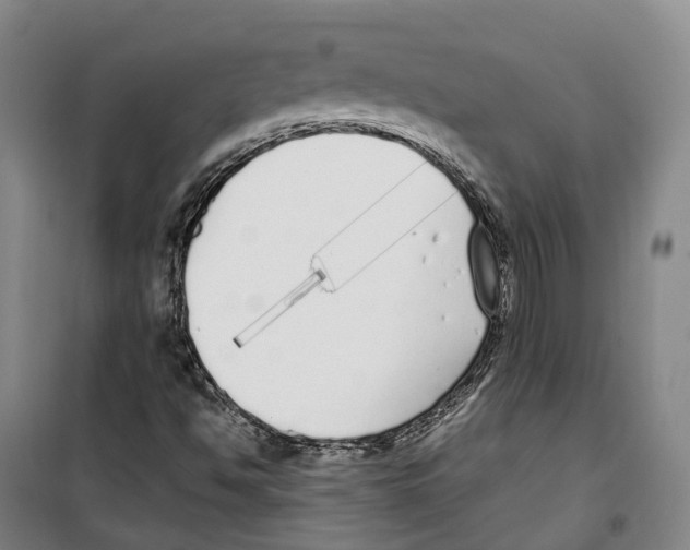 X0000099401494200806051155