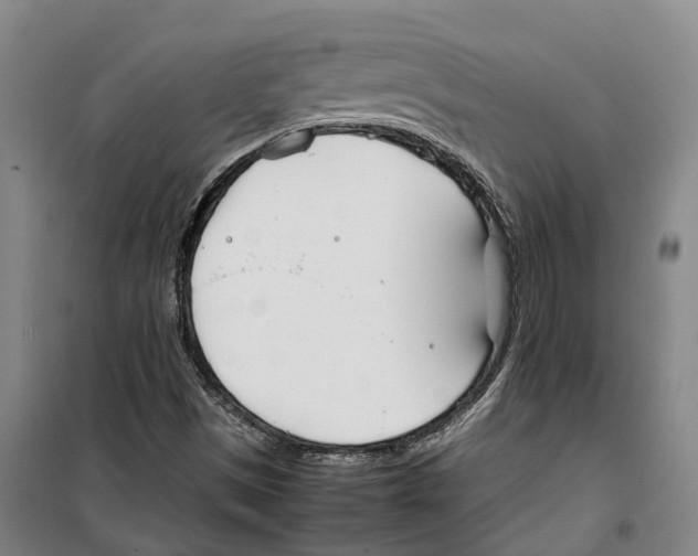 X0000099401497200806051155