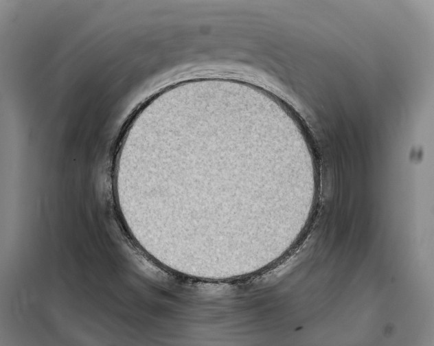 X0000099401498200806051155
