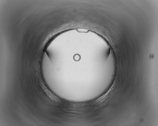 X0000099401499200806051155