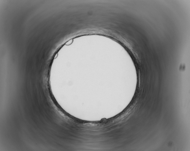 X0000099401500200806051155