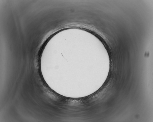 X0000099401501200806051155