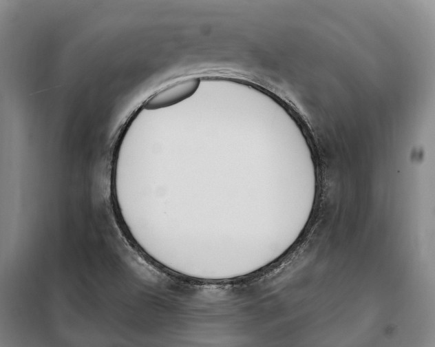 X0000099401504200806051155