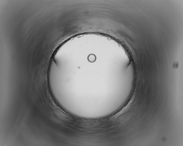 X0000099401505200806051155