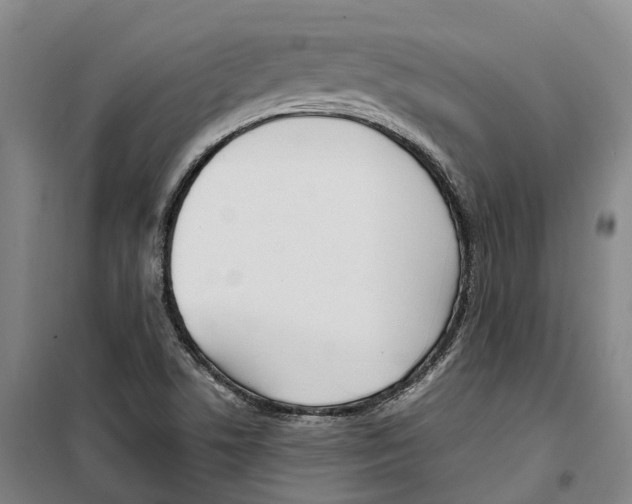 X0000099401506200806051155