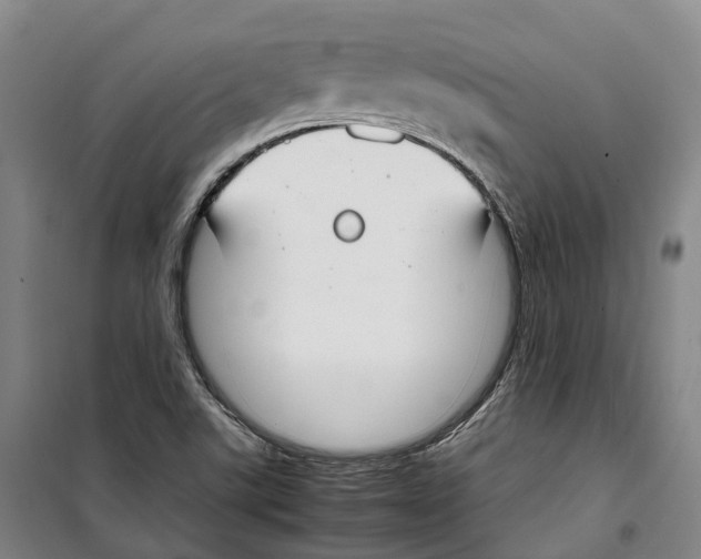 X0000099401507200806051155