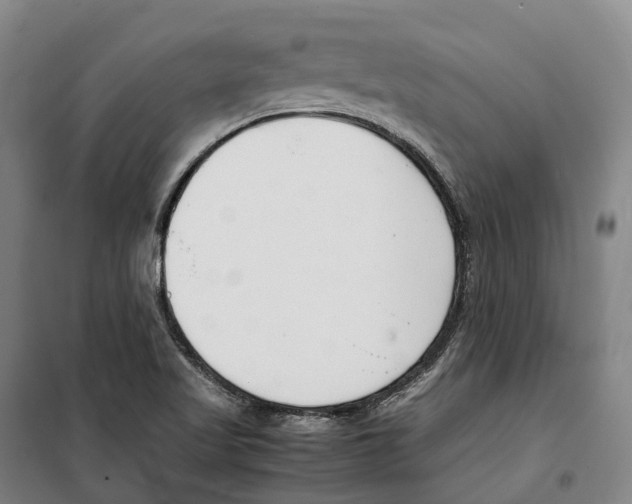 X0000099401509200806051155