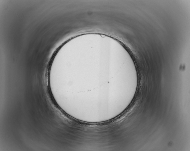 X0000099401510200806051155