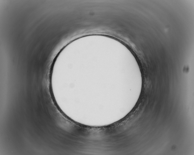 X0000099401512200806051155
