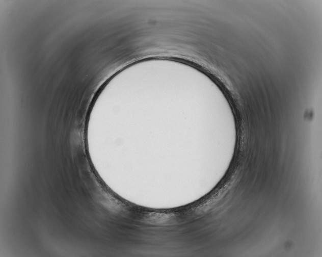 X0000099401513200806051156