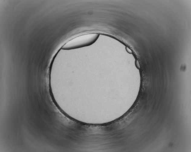 X0000099401516200806051156