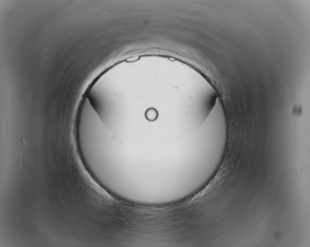 X0000099401518200806051156