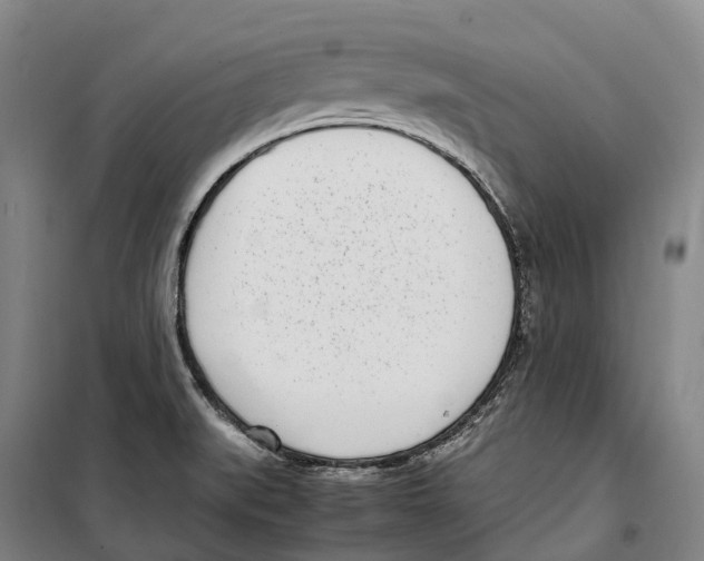 X0000099401519200806051156