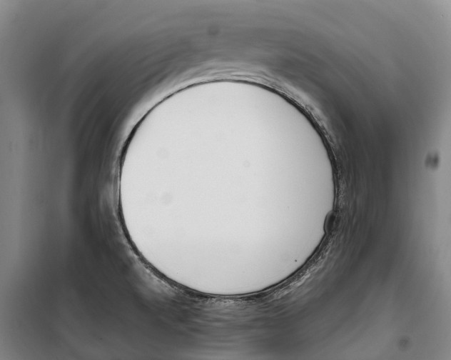 X0000099401520200806051156
