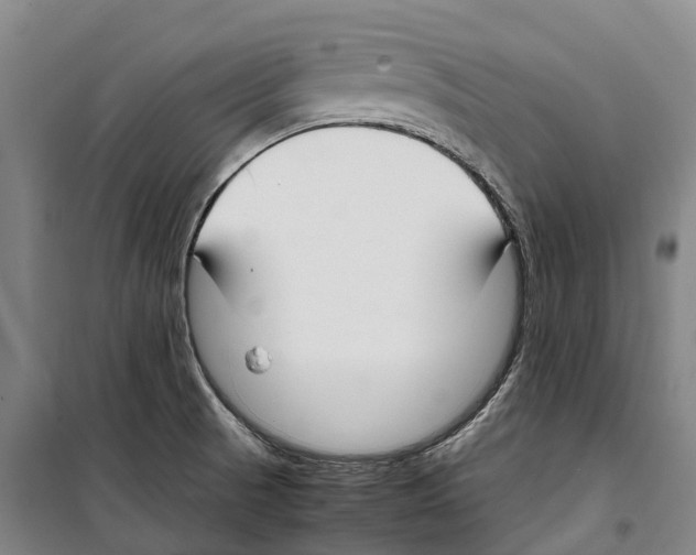 X0000099401521200806051156
