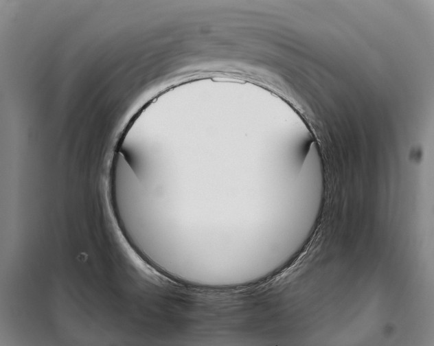 X0000099401523200806051156