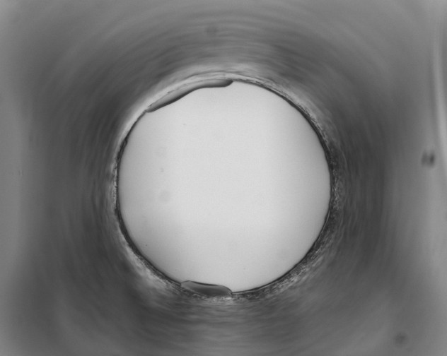 X0000099401524200806051156
