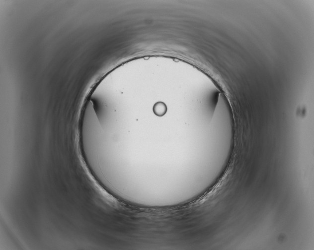 X0000099401525200806051156
