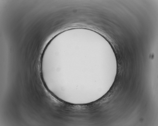 X0000099401527200806051156