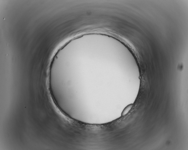 X0000099401528200806051156