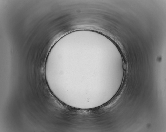 X0000099401529200806051156