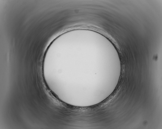 X0000099401530200806051156
