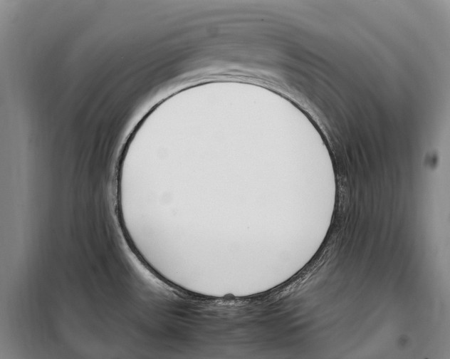X0000099401531200806051156