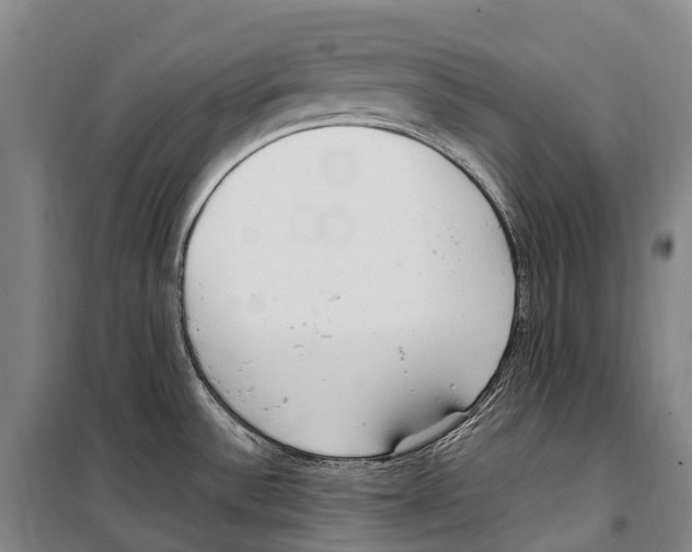 X0000099401532200806051156